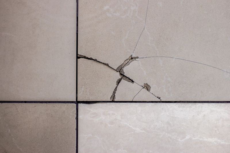 Tile Damage Repair